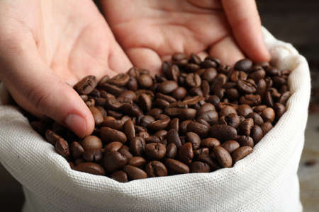 Woman taking roasted coffee beans from bag, closeupの写真素材