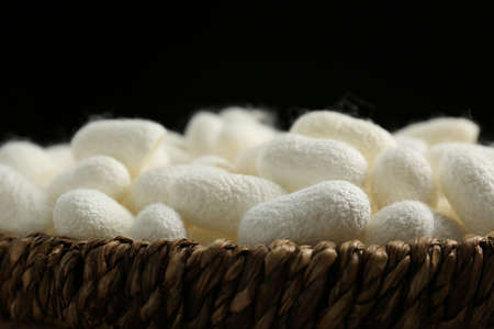 White silk cocoons in wicker bowl on black background, closeupの写真素材