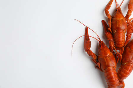Delicious boiled crayfish isolated on white, top viewの写真素材