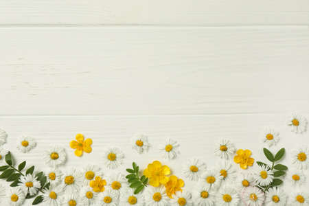 Beautiful daisy flowers and leaves on white wooden background, flat lay. Space for textの写真素材