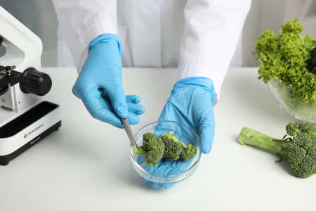 Scientist with broccoli at table in laboratory, closeup. Poison detectionの写真素材