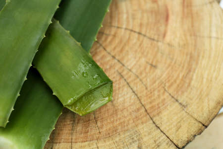 Fresh cut aloe vera leaves with dripping juice on wooden stump, above view. Space for textの写真素材