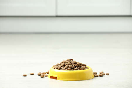 Bowl with dry dog food on white floor indoors