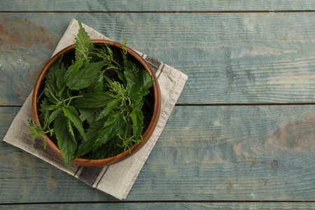 Fresh stinging nettle leaves in bowl on blue wooden table, top view. Space for textの写真素材