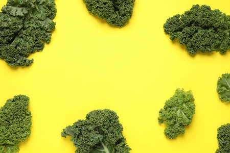 Fresh kale leaves on yellow background, flat lay. Space for textの写真素材