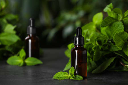 Bottle of mint essential oil and green leaves on gray table, space for textの写真素材