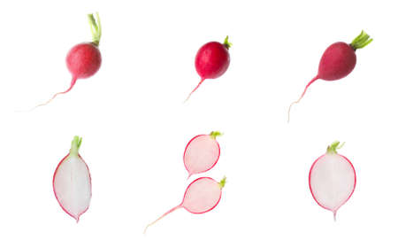 Set with fresh ripe radishes on white backgroundの写真素材