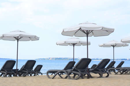 Many beautiful white umbrellas and black sunbeds on the beachの写真素材
