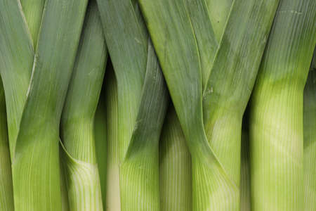Fresh raw leeks as background, top view