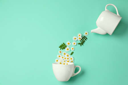 Flat lay composition with beautiful daisy flowers, leaves, ceramic cup and teapot on turquoise...