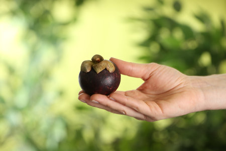 Woman holding delicious ripe mangosteen fruit outdoors, closeup