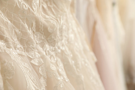 Beautiful wedding dress with lace, closeup viewの写真素材