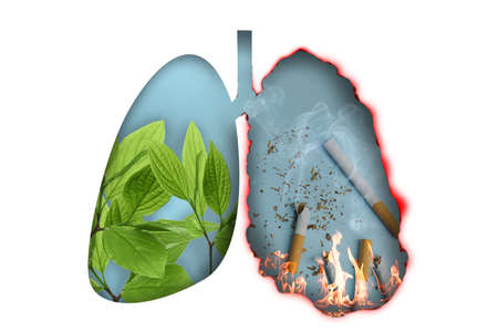 Illustration of human lungs - one part with image of fresh leaves, another with cigarettes on white background. Healthy and unhealthy lifestyle conceptの写真素材