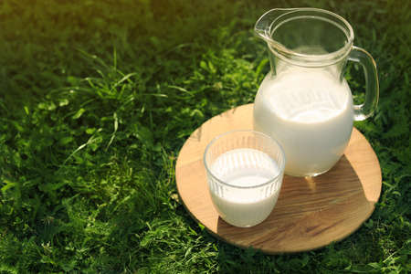 Jug and glass of tasty fresh milk on green grass outdoors, space for textの写真素材