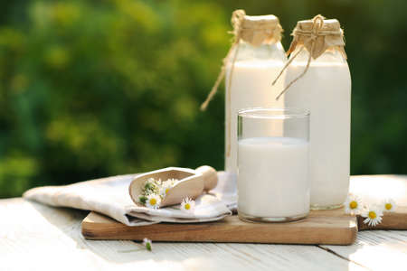 Tasty fresh milk and chamomile flowers on white wooden table, space for textの写真素材