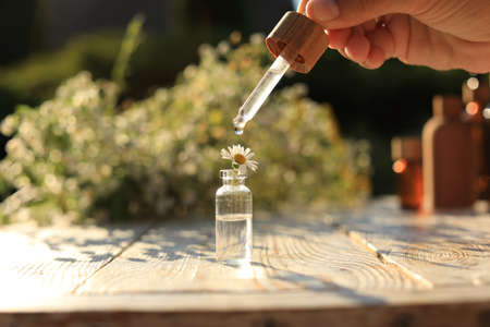 Woman dripping essential oil onto chamomile in bottle on white wooden table, closeupの写真素材