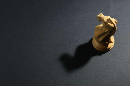White wooden chess knight on dark background, above view. Space for text