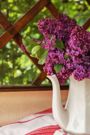 Beautiful lilac flowers in teapot near window indoors