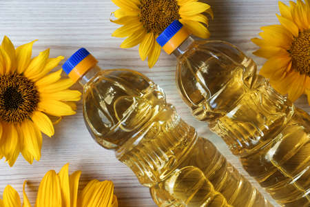 Bottles of sunflower oil and flowers on light wooden table, flat lay