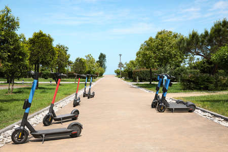 Many modern electric scooters in the park. rental service