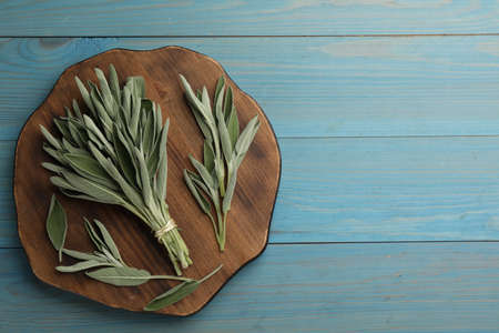Board with fresh green sage on turquoise wooden table, top view. Space for textの写真素材
