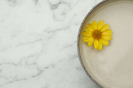 Beige bowl with water and yellow flower on white marble table, top view. Space for textの写真素材