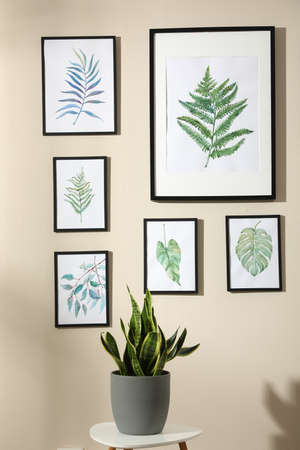 Beautiful paintings of tropical leaves on beige wall in the roomの写真素材