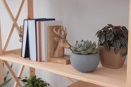 Beautiful houseplants and books on wooden shelving unit near light wallの写真素材