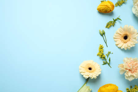 Floral composition with beautiful flowers on light blue background, flat lay. Space for text