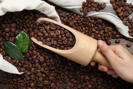 Woman taking scoop of roasted coffee beans from bag at wooden table, closeup