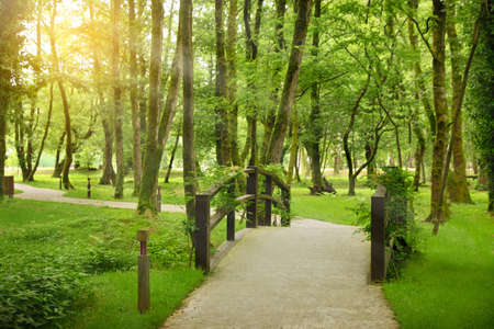 Picturesque view of tranquil park with green plants and bridgeの写真素材