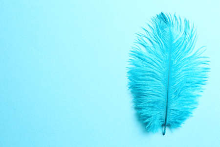 Beautiful delicate feather on light blue background, top viewの写真素材