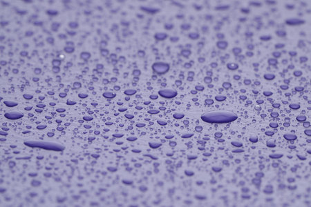 Water drops on lilac background, closeup viewの写真素材