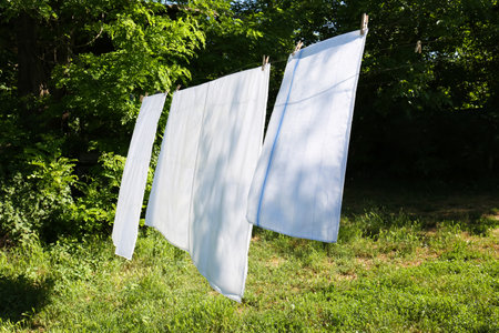 Washing line with clean laundry and clothespins outdoors