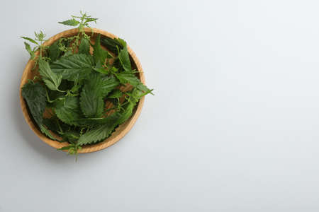 Fresh stinging nettle leaves in wooden bowl on white background, top viewの写真素材