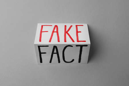 Sheet of paper with words Fact and Fake on light gray background, top viewの写真素材