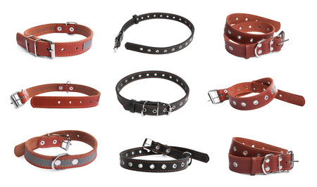 Set with different leather dog collars on white backgroundの写真素材