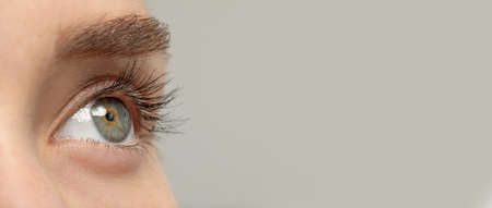 Closeup view of woman with beautiful eyes on light gray background, space for text. banner design