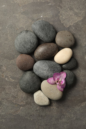 Spa stones and orchid flower on gray table, flat layの写真素材
