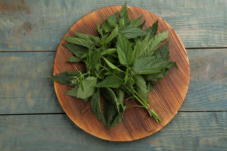 Bunch of fresh stinging nettles on blue wooden table, top viewの写真素材