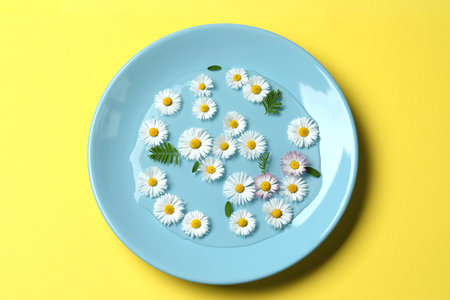 Light blue plate with water, leaves and daisy flowers on yellow background, top viewの写真素材