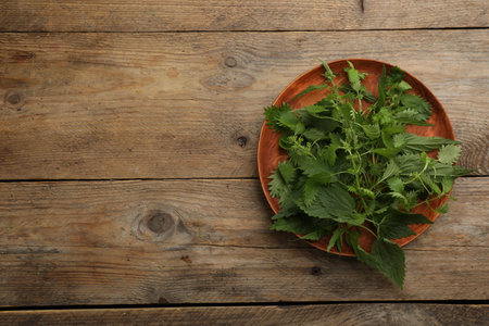 Fresh stinging nettle leaves on wooden table, top view. Space for textの写真素材