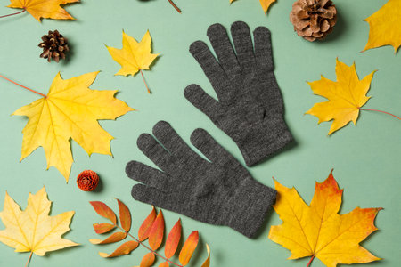 Stylish woolen gloves and dry leaves on green background, flat layの写真素材