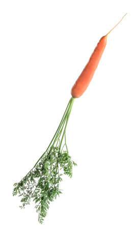 Tasty ripe organic carrot isolated on whiteの写真素材