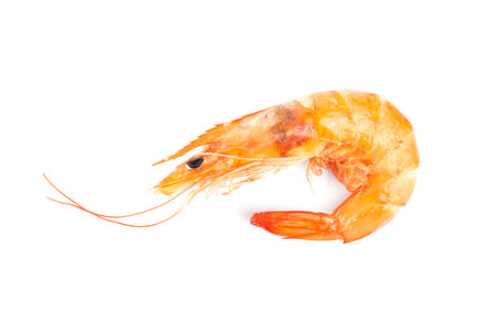 Delicious cooked whole shrimp isolated on whiteの写真素材