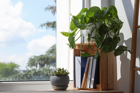 Different beautiful houseplants and books on window sill indoors, space for textの写真素材