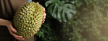Woman holding fresh ripe durian outdoors, closeup view with space for text. banner designの写真素材