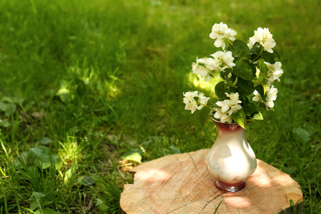 Bouquet of beautiful jasmine flowers in vase on wooden stump outdoors, space for textの写真素材