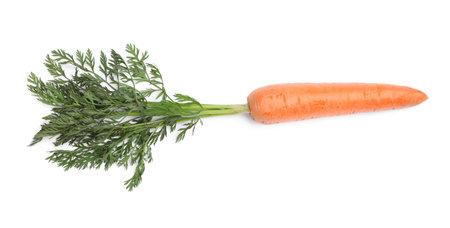 Tasty ripe organic carrot isolated on white, top viewの写真素材