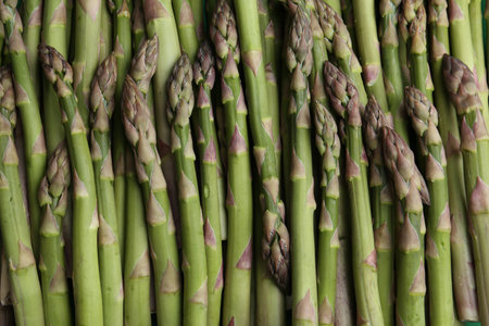 Fresh raw asparagus as background, top viewの写真素材